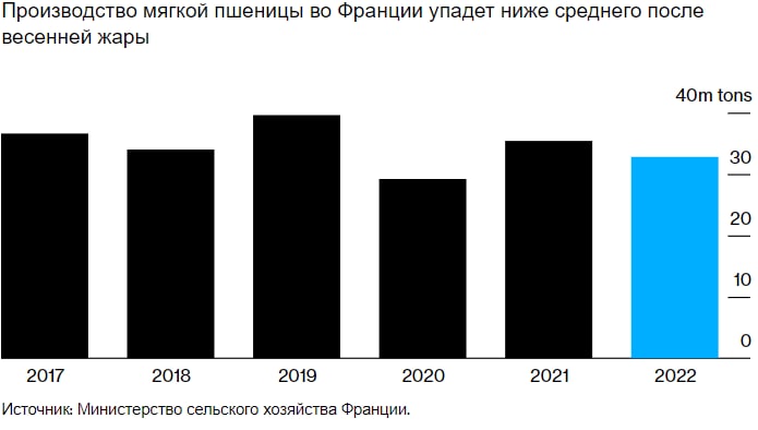 Жара и засуха во Франции сократили урожай пшеницы в ключевом экспортере ЕС