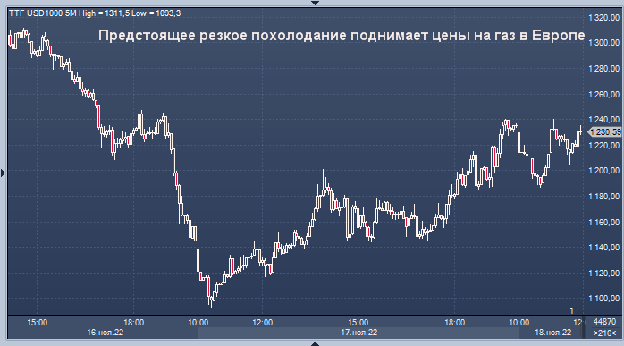 Динамический период в отчете 1с