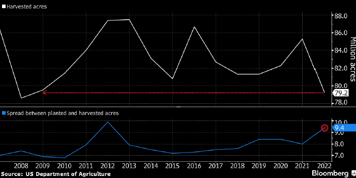 Кукуруза заметно подорожала после неожиданного отчета Минсельхоза США