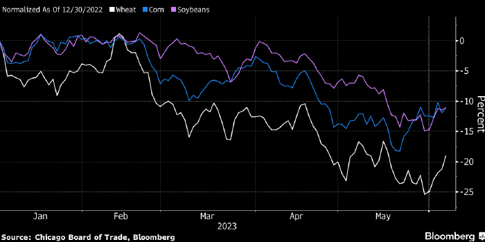 Цены на пшеницу подскочили после разрушения дамбы Каховской ГЭС