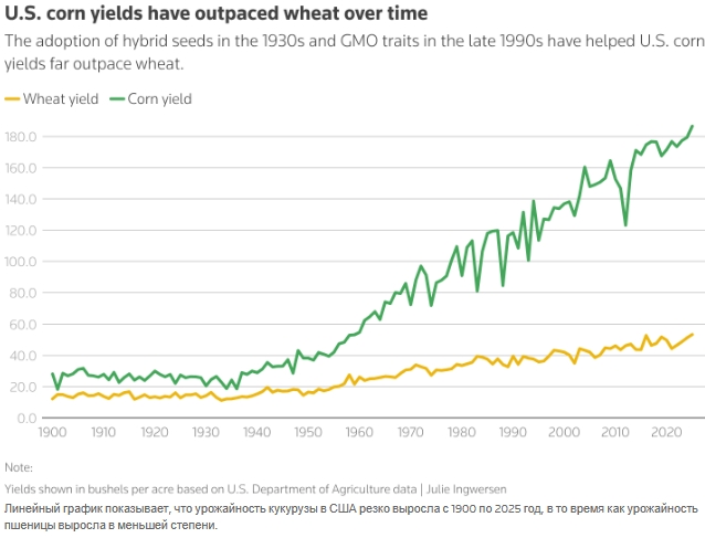 Американские исследователи делают ставку на гибридные, генетически модифицированные семена, чтобы снова сделать выращивание пшеницы прибыльным делом